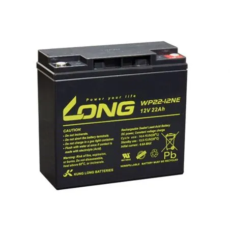 Bateria de Chumbo-Ácido AGM 12V 22Ah LONG WP22-12NE